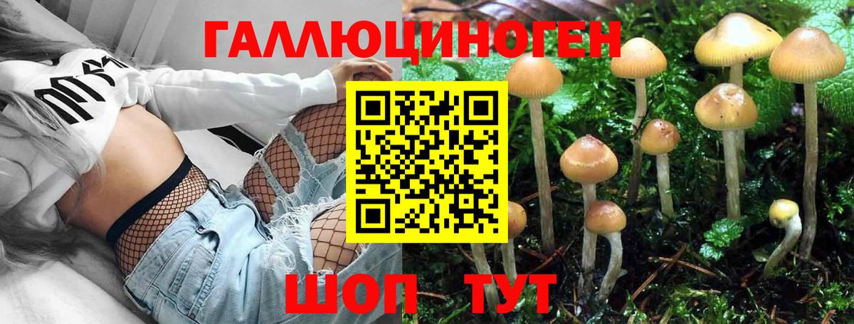 Верхний Уфалей  Галлюциногенные грибы Magic Shrooms  Вход с VPN  Галлюциногенные грибы GOLDEN TEACHER 